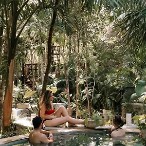 Anand Ecoaldea Lodge Puerto Morelos